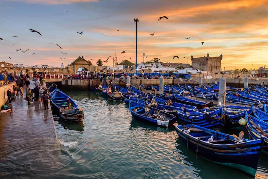 From Marrakech: Essaouira Day Trip with Hotel Pickup - Pickup reliability and how to protect your day