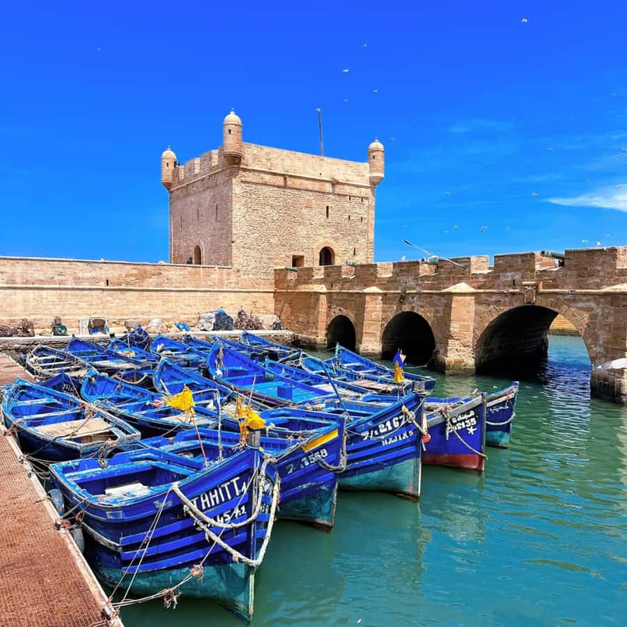 From Marrakech: Essaouira Full day trip, beach and History - The Argan oil cooperative stop