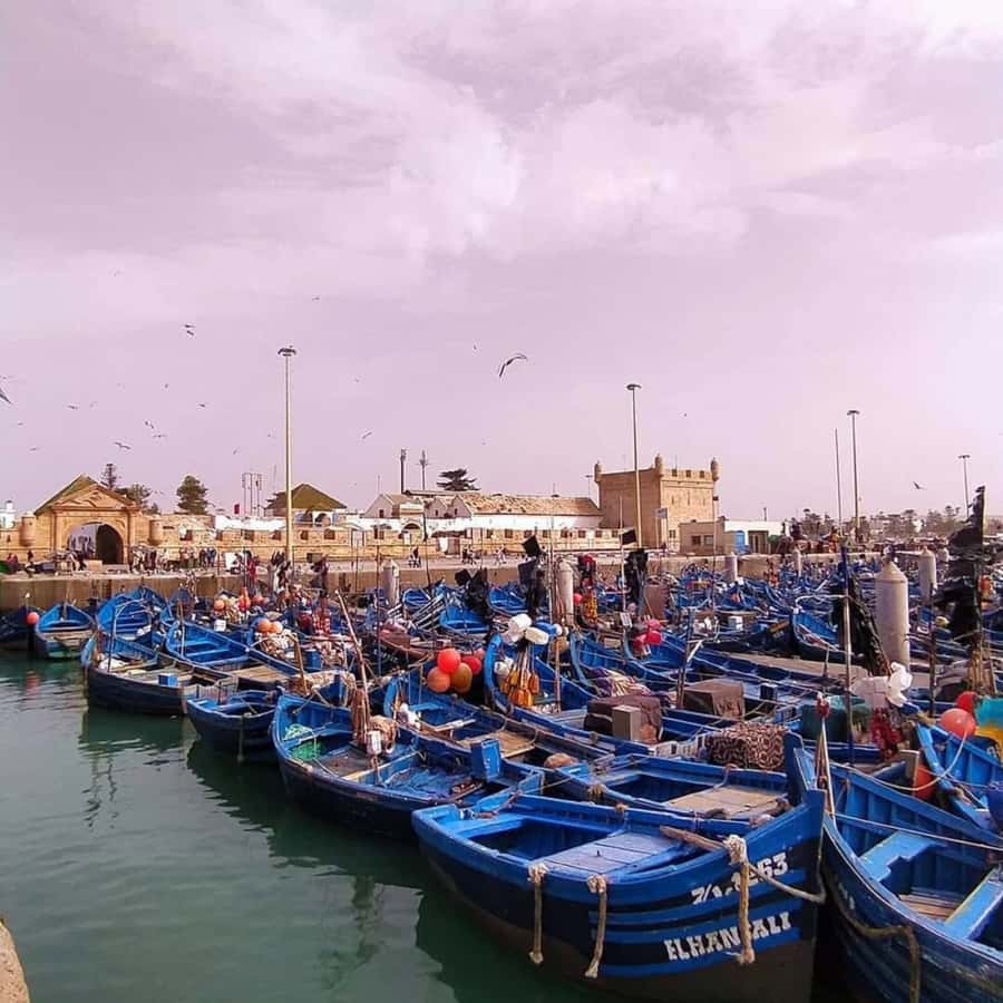 From Marrakech: Essaouira Full day trip, beach and History - Entering Essaouira’s old medina
