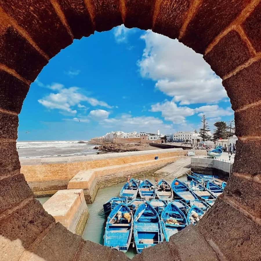 From Marrakech: Essaouira Full day trip, beach and History - Bronze cannons and the 18th-century ramparts