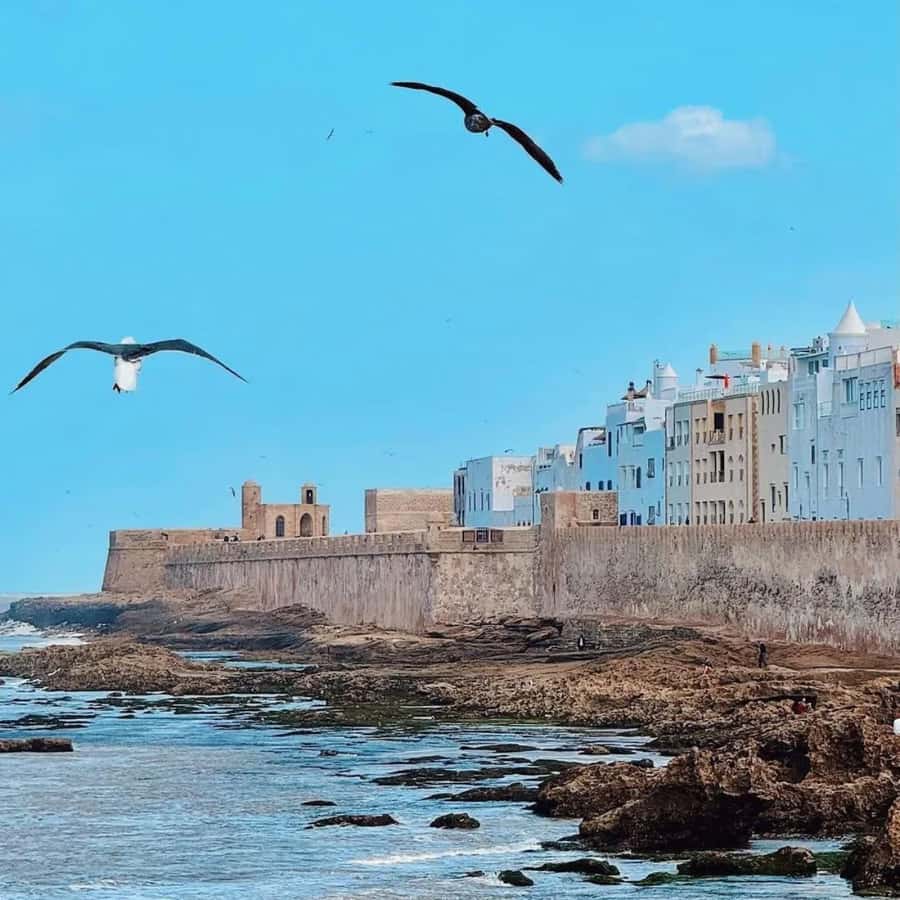 From Marrakech: Essaouira Full day trip, beach and History - How much value do you get for $16?