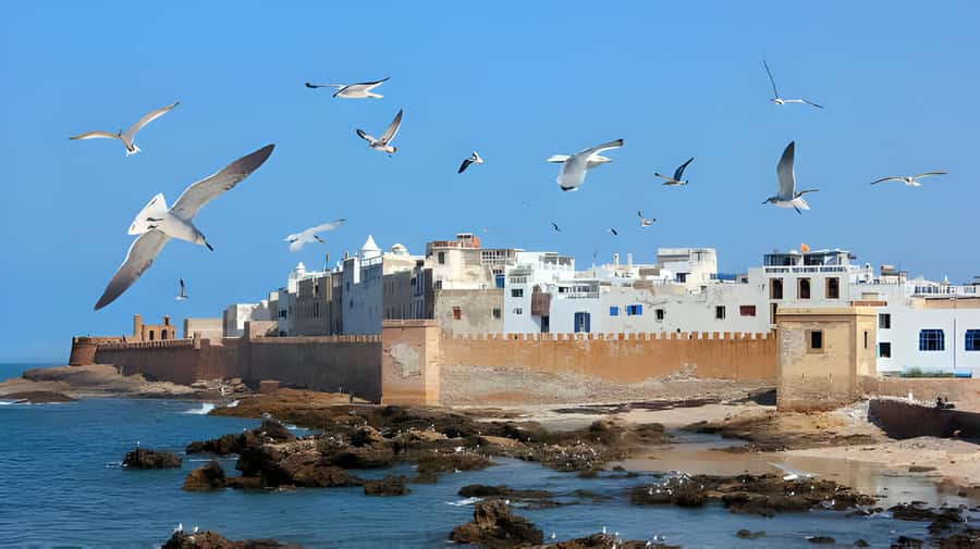 From Marrakech: Essaouira Private Full-Day Trip - Why Essaouira makes a good escape from Marrakech