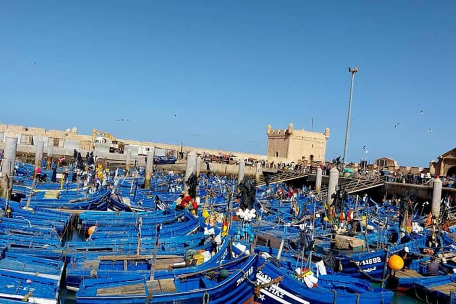 From Marrakech: Essaouira Private Full-Day Trip - Leaving Marrakech through argan country