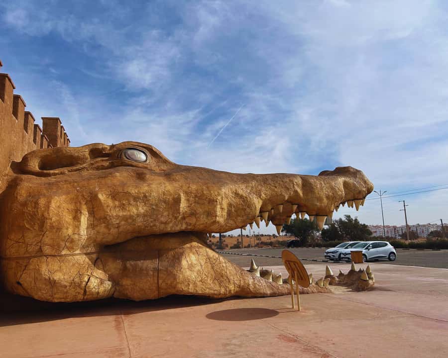 From Marrakech: Full-Day Trip to Agadir - What the guides add to the day