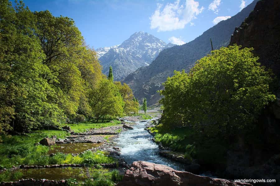 From Marrakech: Ourika Valley Day Trip with Lunch - The argan oil co-operative