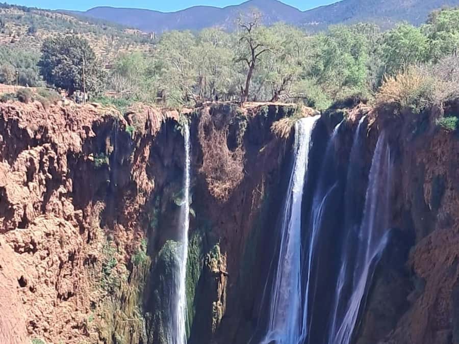 From Marrakech:Ouzoud Waterfalls Day Trip with Boat Tour - Who should take this day trip