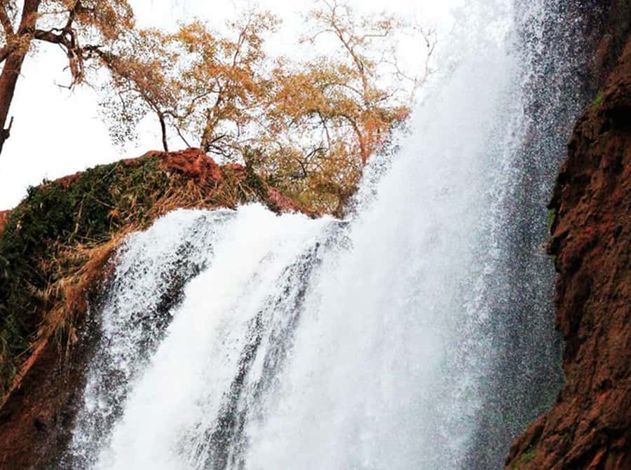From Marrakech: Private Ouzoud Falls & Boat Ride Day Trip - Is the $95 price good value?