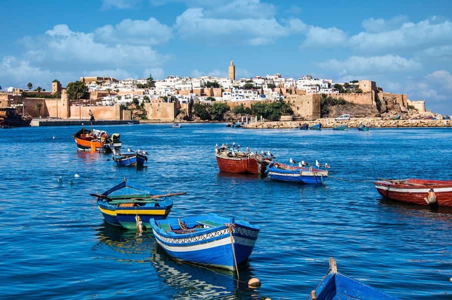 From Marrakech: Small Group To Essaouira & Medina Day Trip - Key points to know before booking