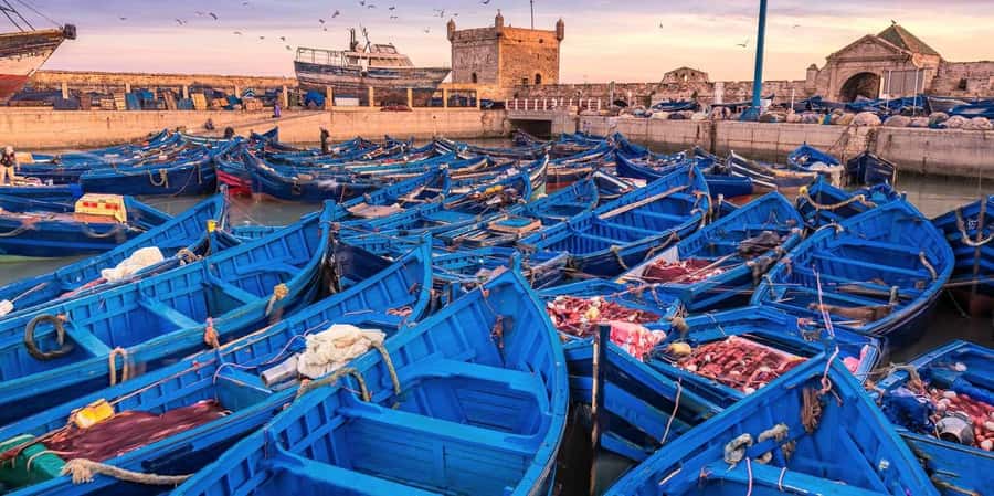 From Marrakech: Small Group To Essaouira & Medina Day Trip - Why Essaouira makes a smart escape from Marrakech