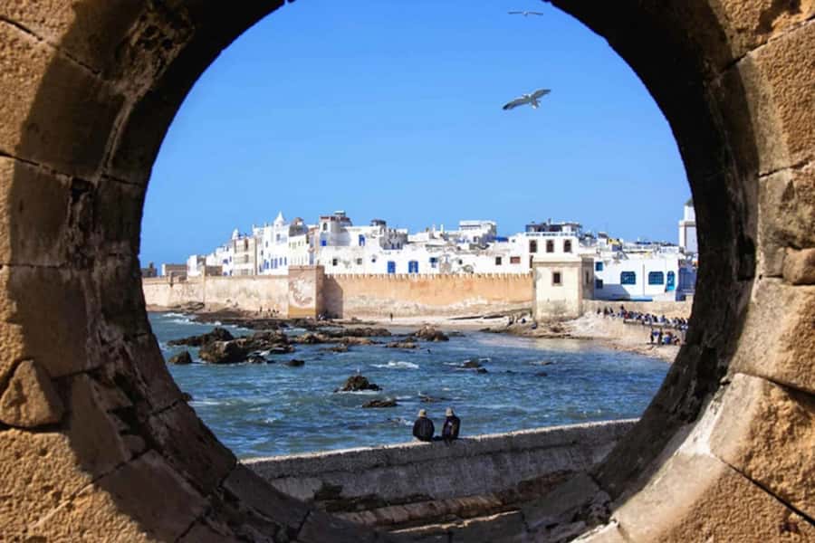 From Marrakech: Small Group To Essaouira & Medina Day Trip - The fishing port and a fresh seafood lunch