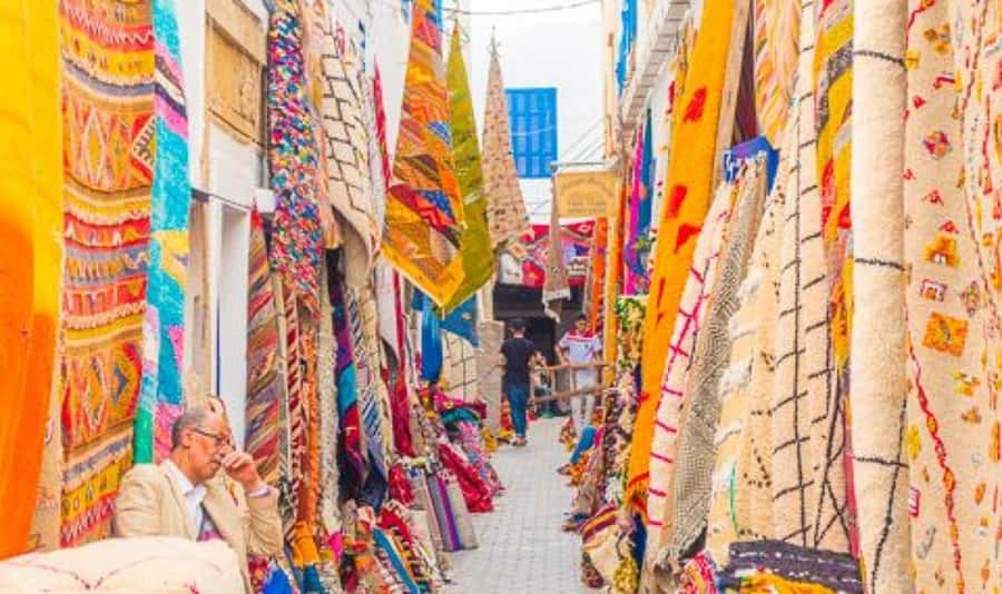 From Marrakech: Small Group to Essaouira & Sekkala Day Trip - Key points to know before booking