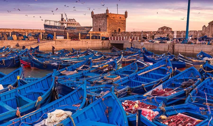 From Marrakech: Small Group to Essaouira & Sekkala Day Trip - Why Essaouira makes a good break from Marrakech