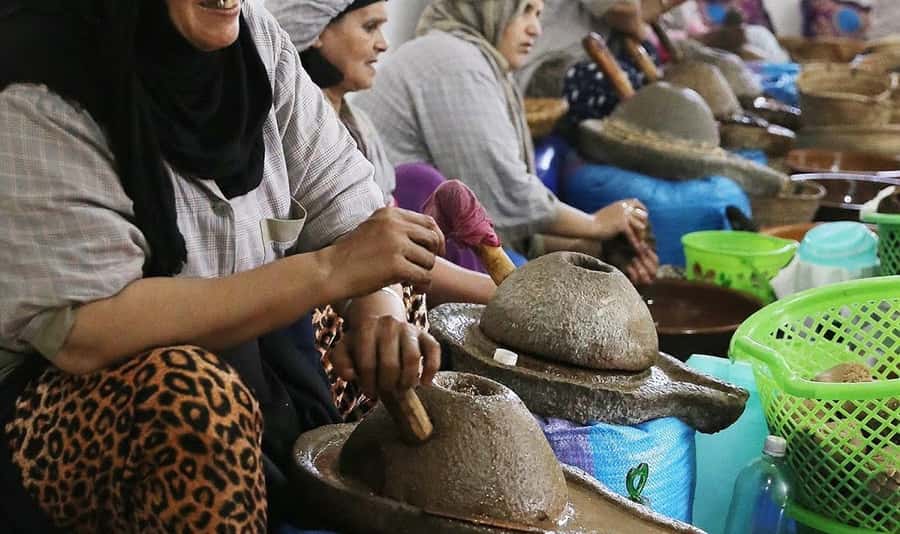 From Marrakech: Small Group to Essaouira & Sekkala Day Trip - Skala fortress, port, and the Atlantic wind