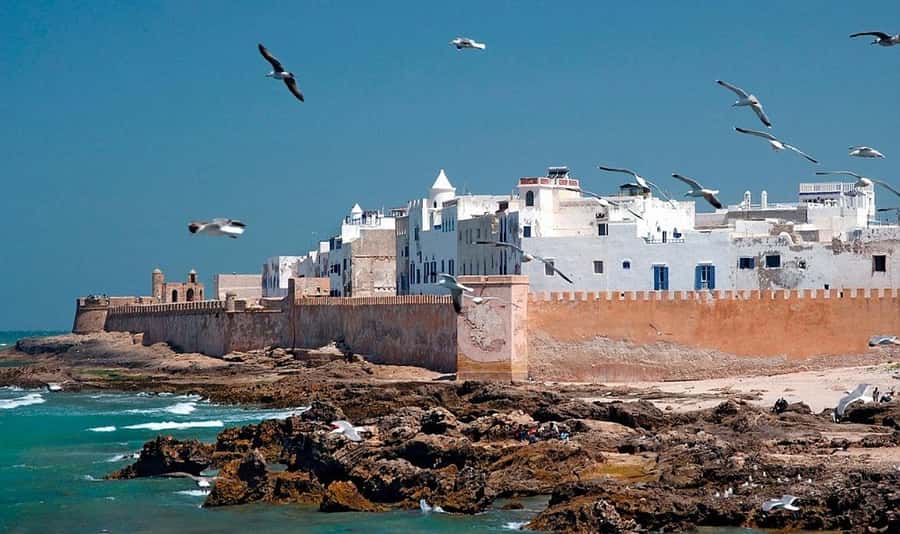 From Marrakech: Small Group to Essaouira & Sekkala Day Trip - The return journey to Marrakech