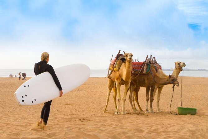 From Marrakech To Essaouira Mogador Full Day Trip | Small-group - Key points to know before booking