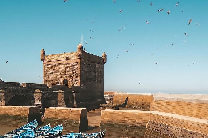 From Marrakech To Essaouira Mogador Full Day Trip | Small-group - Three or four free hours inside the Medina