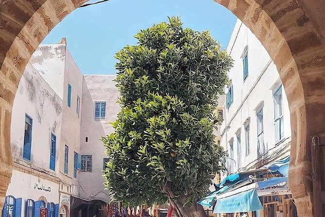 From Marrakech To Essaouira Mogador Full Day Trip | Small-group - Lunch, seafood, and choosing your own table