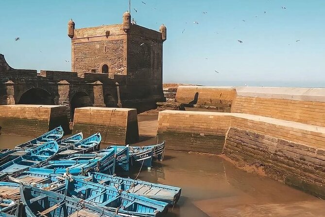 From Marrakech To Essaouira Mogador Full Day Trip | Small-group - What the price really buys you