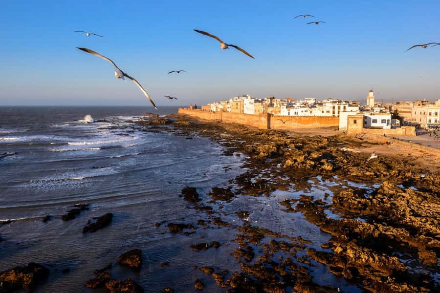 From Marrakech To Essaouira Mogador Full Day Trip Smallgroup - Why Essaouira makes a good escape from Marrakech