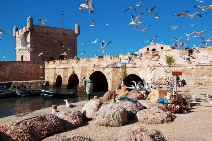 From Marrakech To Essaouira Mogador Full Day Trip Smallgroup - The return journey to Marrakech