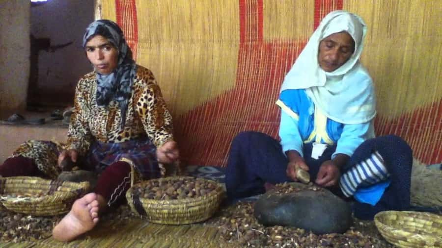 From Marrakesh: Essaouira Day Trip - Moulay Hassan Square and the harbor