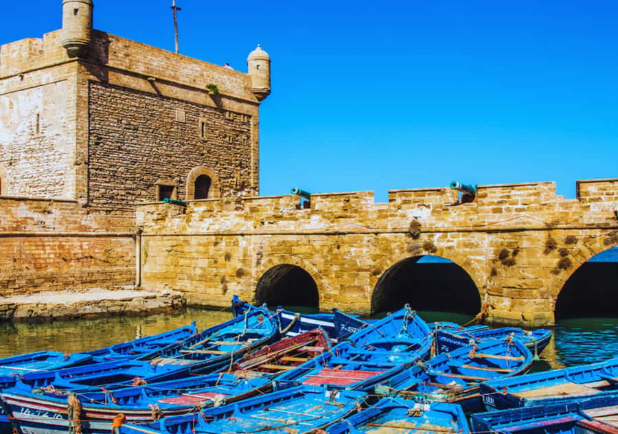 From Marrakesh: Essaouira Full-Day Trip - Key points at a glance