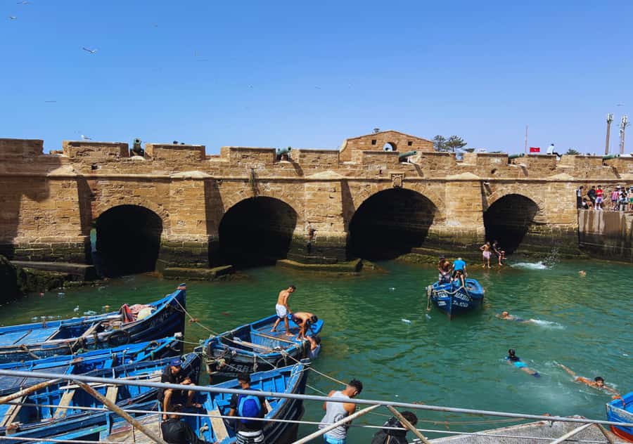 From Marrakesh: Essaouira Full-Day Trip - Who should book this Essaouira day trip?