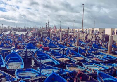 From Marrakesh: Essaouira Full-Day Trip
