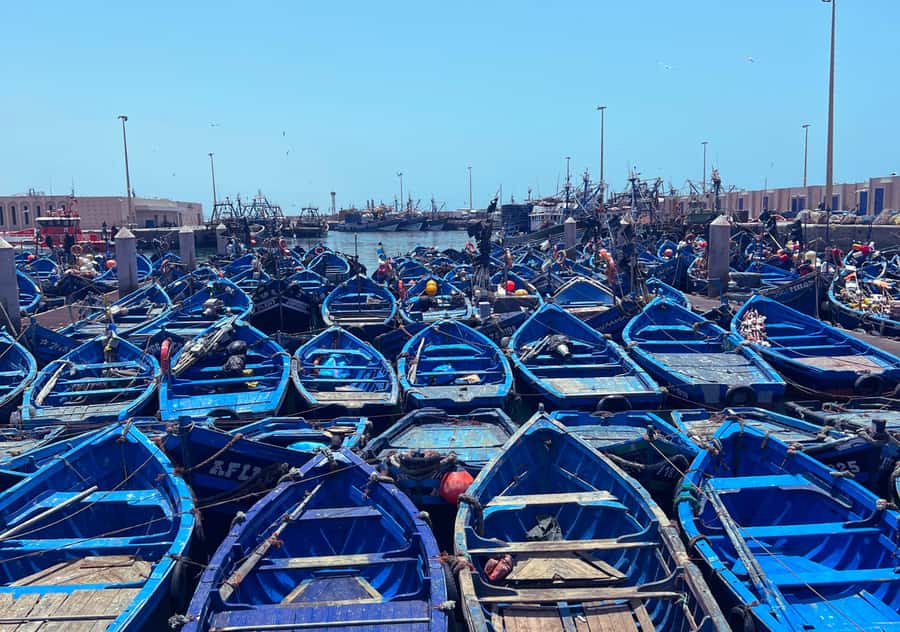 From Marrakesh: Essaouira Full-Day Trip - Walking the medina without a fixed tour