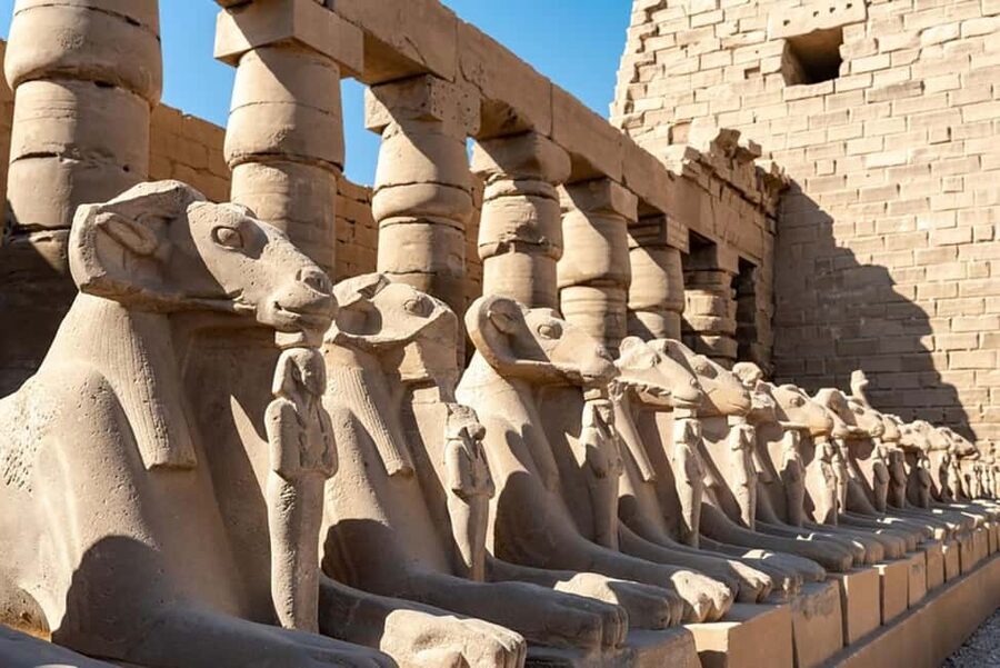From Marsa Alam: Private Day Trip to Luxor by Car - The Colossi of Memnon