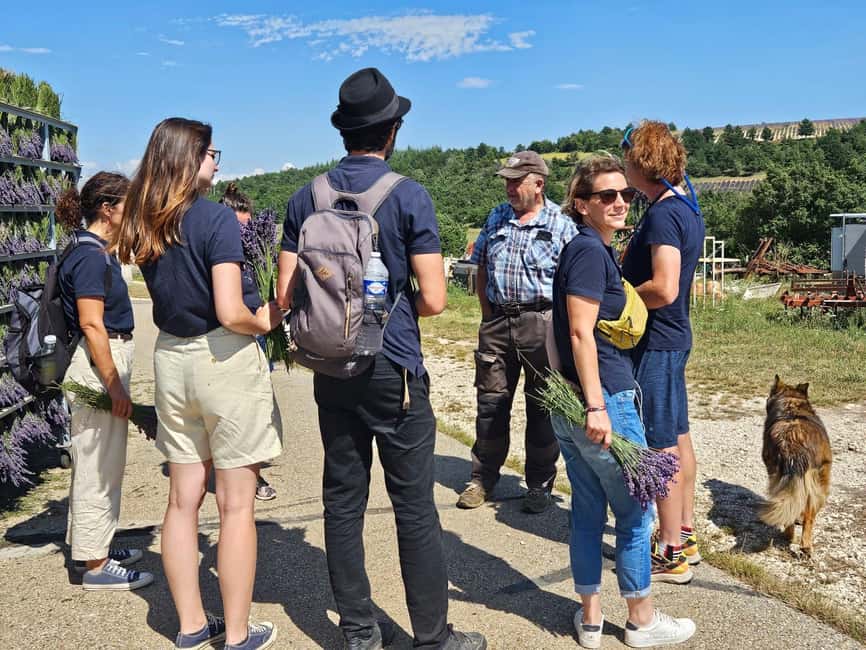 From Marseille: Lavender Full-Day Trip to Sault - A small minibus changes the feel of the day