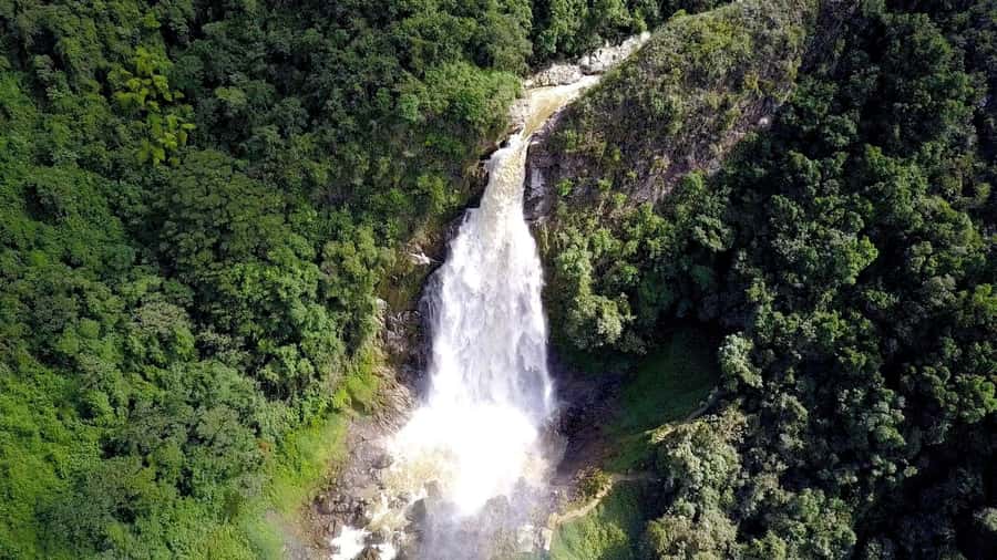 From Medellín: Dream Hammocks, Zipline, & Waterfall Day Trip - The quiet shock of the 150-meter hammocks