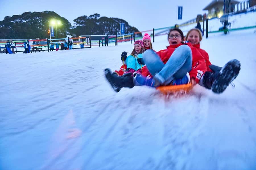 From Melbourne: Day Trip to Mt Buller by Premium Tour Coach - Why this is an easy way to reach Mt Buller