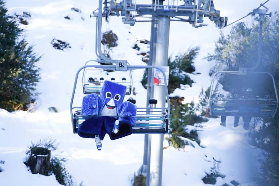 From Melbourne: Day Trip to Mt Buller by Premium Tour Coach - The journey through Donnybrook and Victoria’s high country