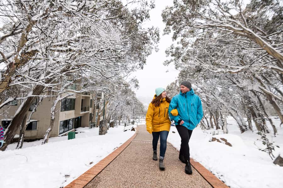 From Melbourne: Day Trip to Mt Buller by Premium Tour Coach - Six and a half hours to choose your own day