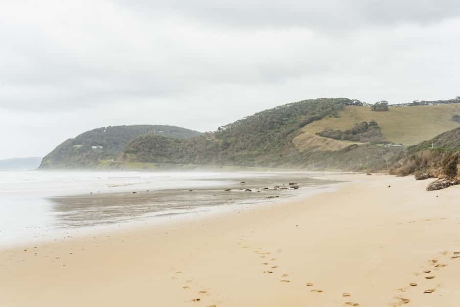 From Melbourne: Small-Group Great Ocean Road Day Trip - The ancient rainforest walk