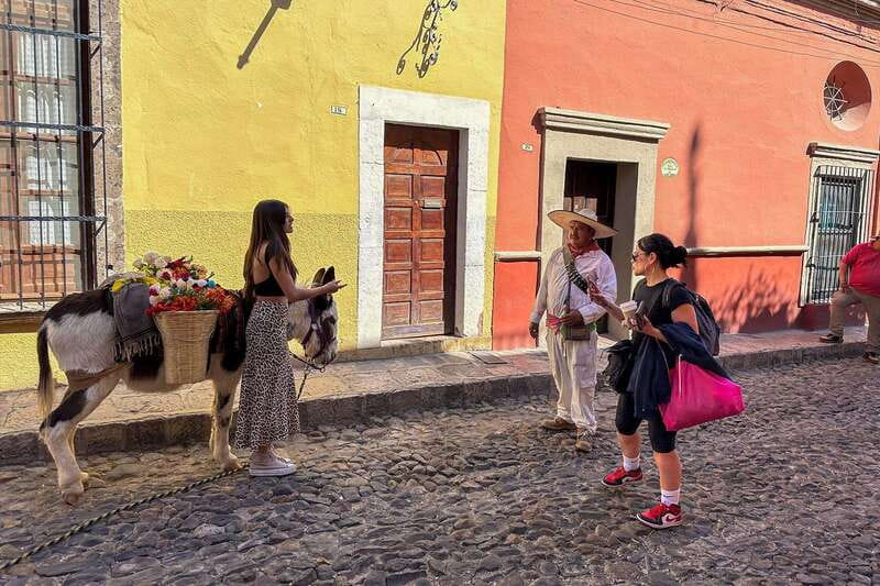 From Mexico City: San Miguel de Allende Day Trip - Four hours for churches, shops, and skyline views