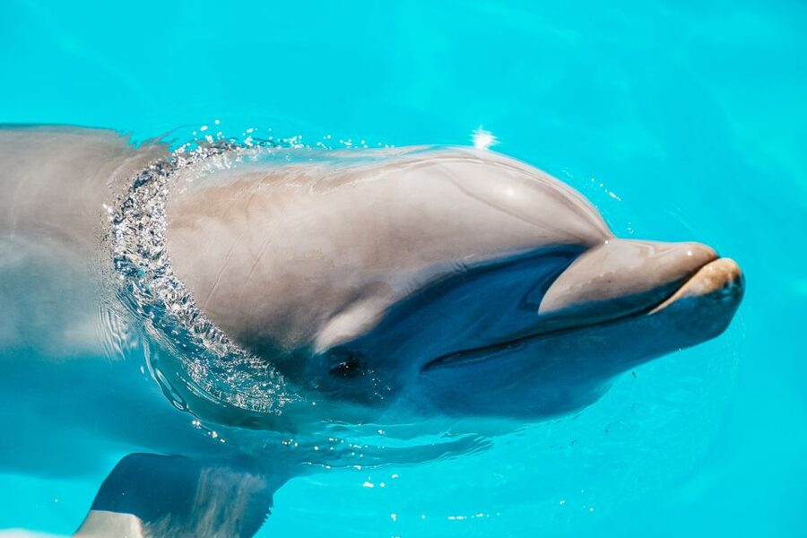 From Miami: Key West Day Trip - The long road from Miami to Key West