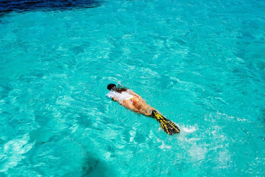 From Miami: Key West Day Trip - What the guides add to the ride