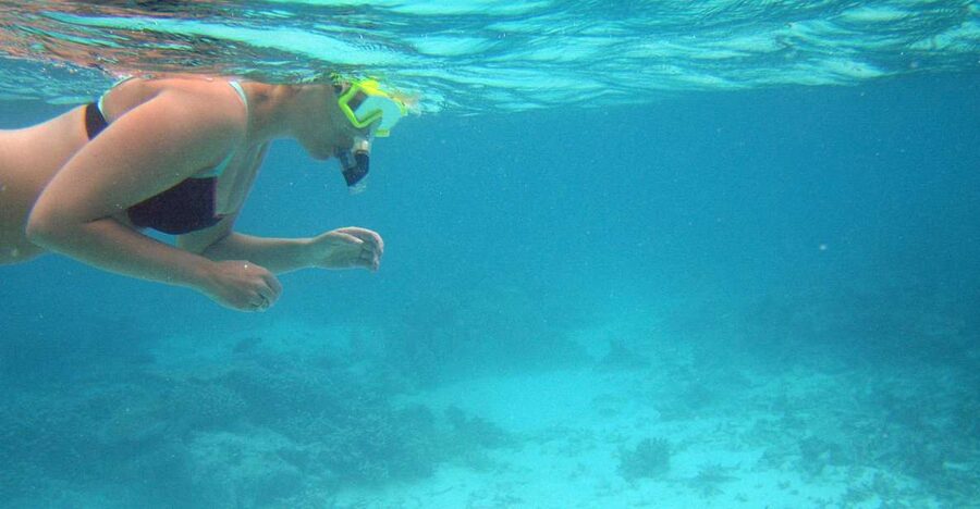 From Miami: Key West Day Trip - The return to Miami