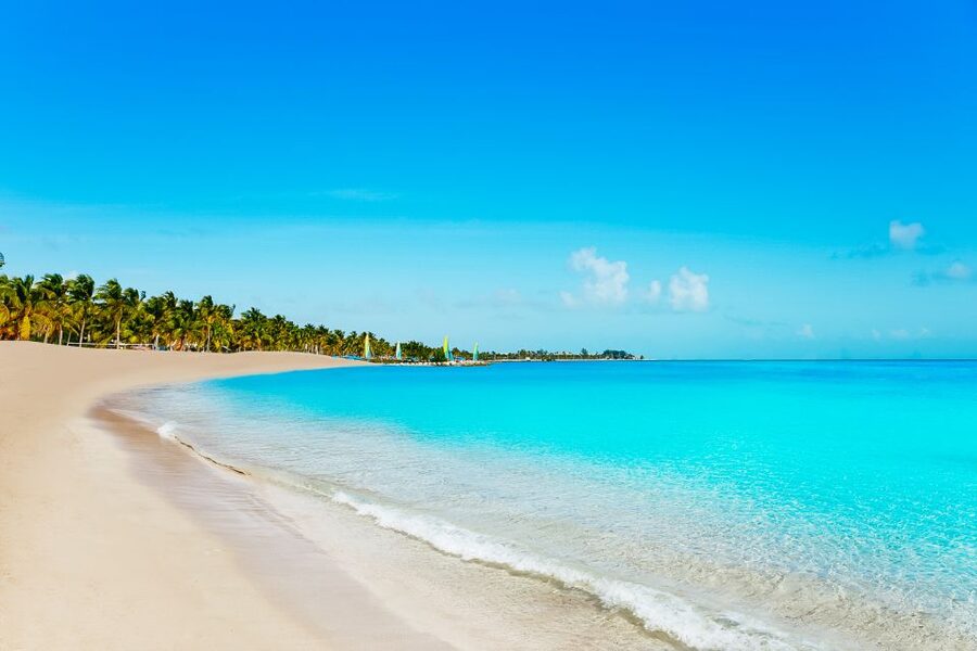 From Miami: Key West Day Trip - Who should book this Key West day trip?