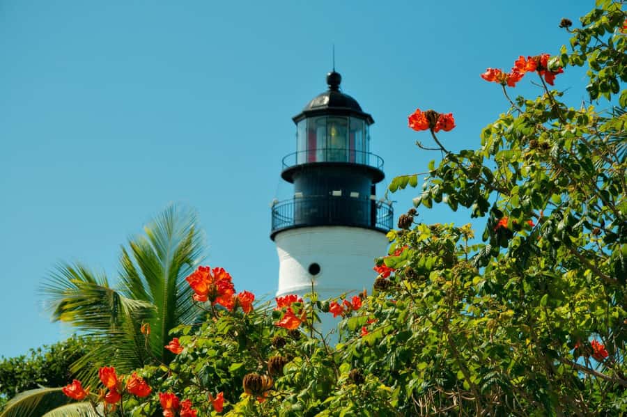From Miami: Key West Day Trip with Narration - Should you book it?