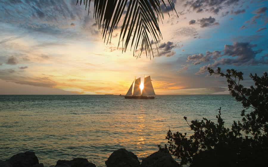 From Miami: Key West Day Trip with Narration - My practical plan for the six hours