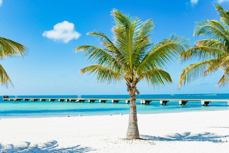 From Miami: Key West Day Trip - Six hours to get a feel for Key West