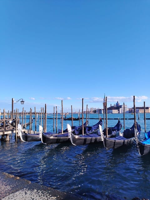 From Milan: Venice City Highlights Guided Day Trip - Key points to know before booking