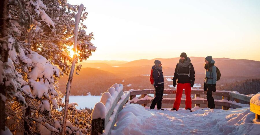 From Montreal: Mont-Tremblant National Park Hiking Day Trip - Forest trails, views, and the midday picnic