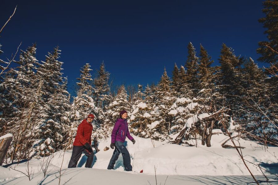 From Montreal: Mont-Tremblant National Park Hiking Day Trip - The freedom, and limits, of an unguided hike