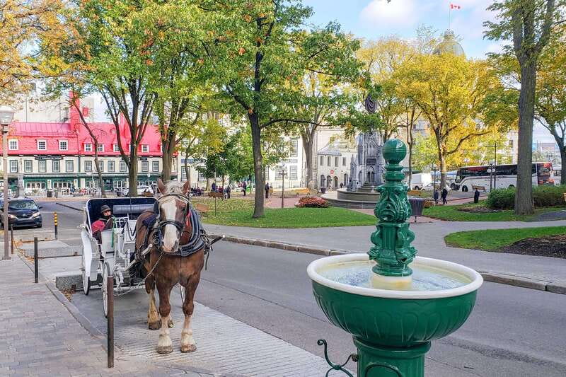 From Montreal: Quebec City and Montmorency Falls Day Trip - Montmorency Falls deserves more than 20 minutes