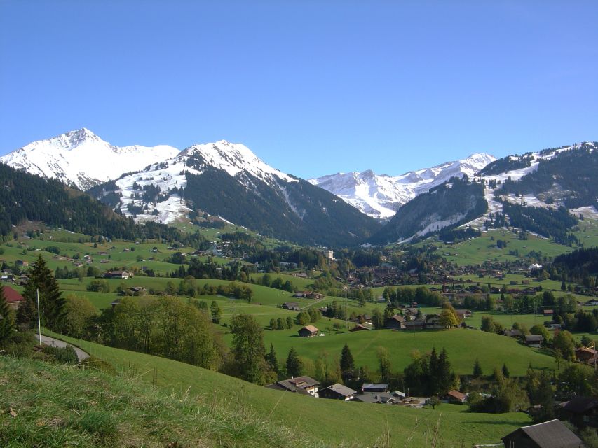 From Montreux: Glacier 3000 Day Trip - Key points to know before booking