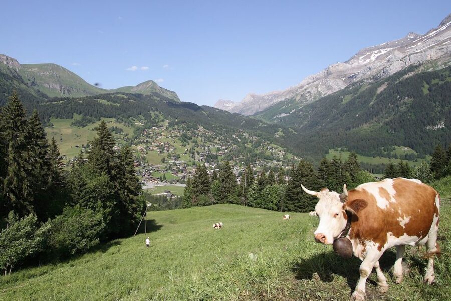 From Montreux: Glacier 3000 Day Trip - Who should book this mountain trip
